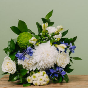 Sini-valkoisin ajatuksin